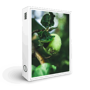 raxxa Premium-Puzzle: Apple
