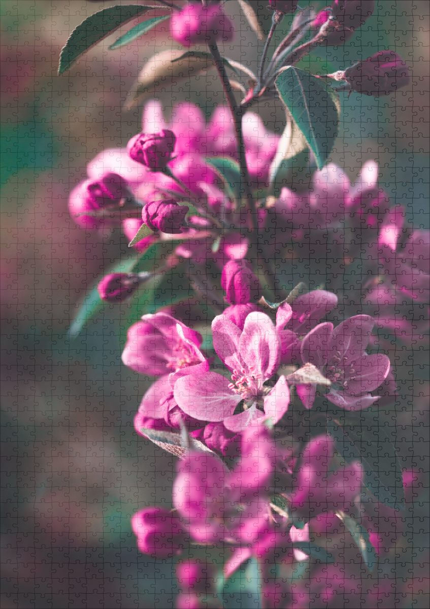 raxxa Premium-Puzzle: Flower - immagine 2