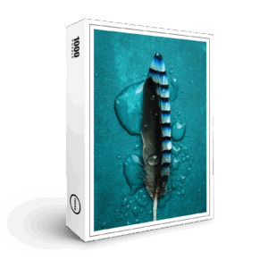 raxxa Premium-Puzzle: Blue Jay feather