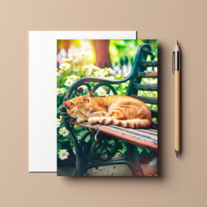raxxa Postkarte: Cozy Cat Napping in Comfortable Setting on a garden bench