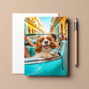 raxxa Postkarte: King Charles Cocker Spaniel in Cuba