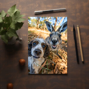 raxxa Postkarte: King Charles Cocker Spaniel Takes Selfies in Australia with kangaroo