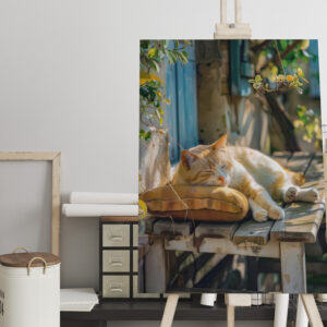 raxxa Canva: A sleeping cat rests peacefully in a cozy environment on bench in front of a house