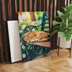 raxxa Canva: Cozy Cat Napping in Comfortable Setting on a garden bench