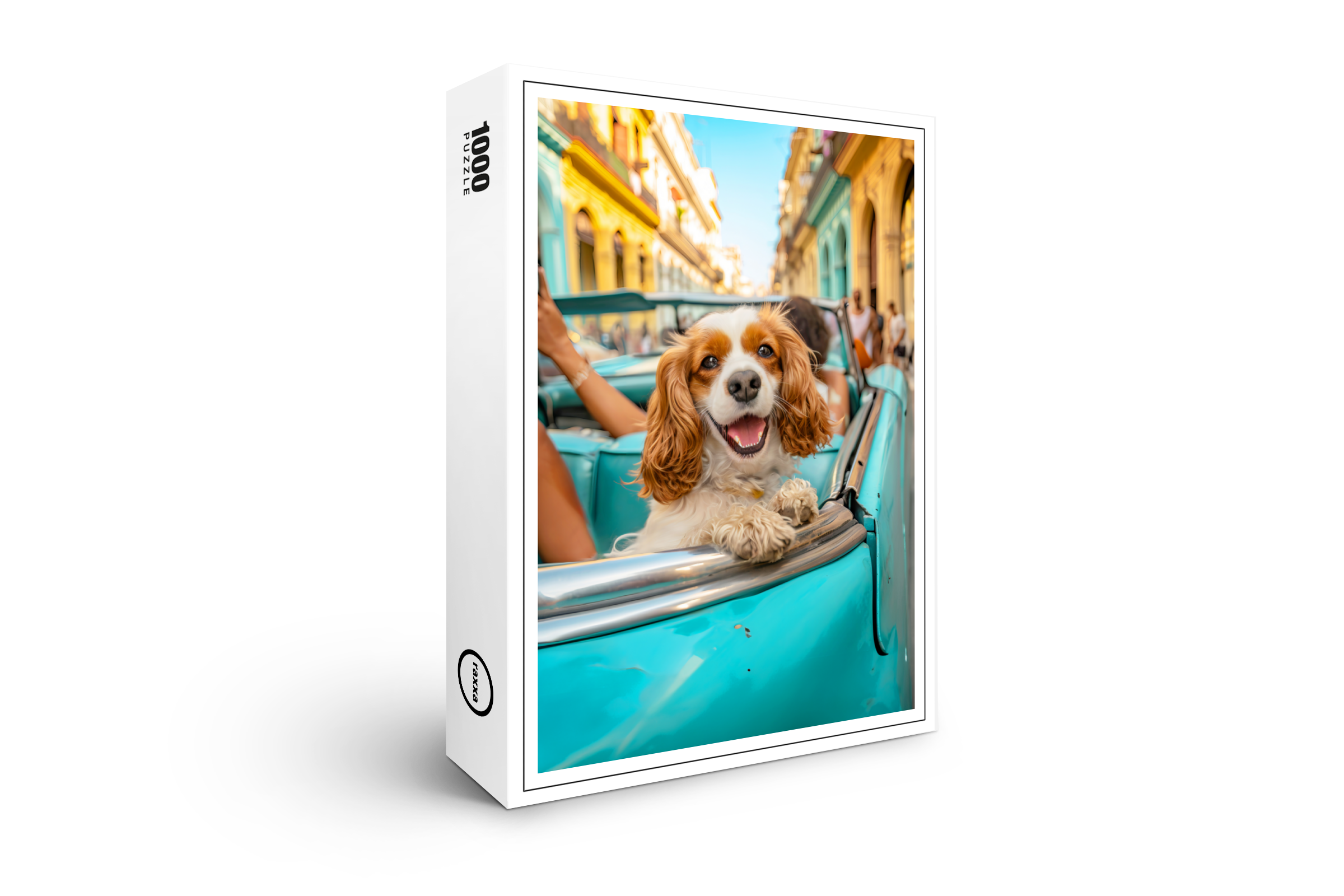 raxxa Premium-Puzzle: King Charles Cocker Spaniel in Cuba