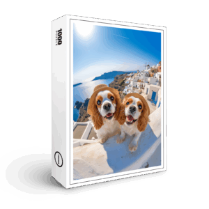 raxxa Premium-Puzzle: King Charles Cocker Spaniel Takes Selfies in Santorini Greece