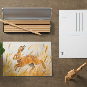 raxxa Postkarte: Hare in a cornfield watercolor painting
