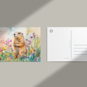 raxxa Postkarte: Marmot on a flower meadow watercolor painting