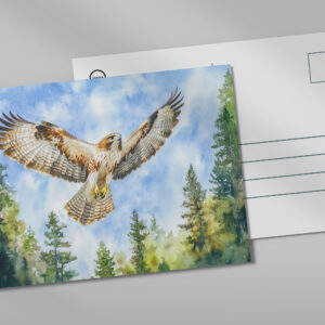 raxxa Postkarte: Buzzard flying over a pine forest watercolor painting