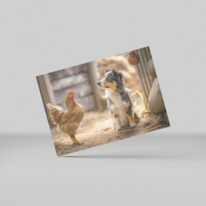raxxa Postkarte: Small Shepherd Dog and Chicken in the Henhouse
