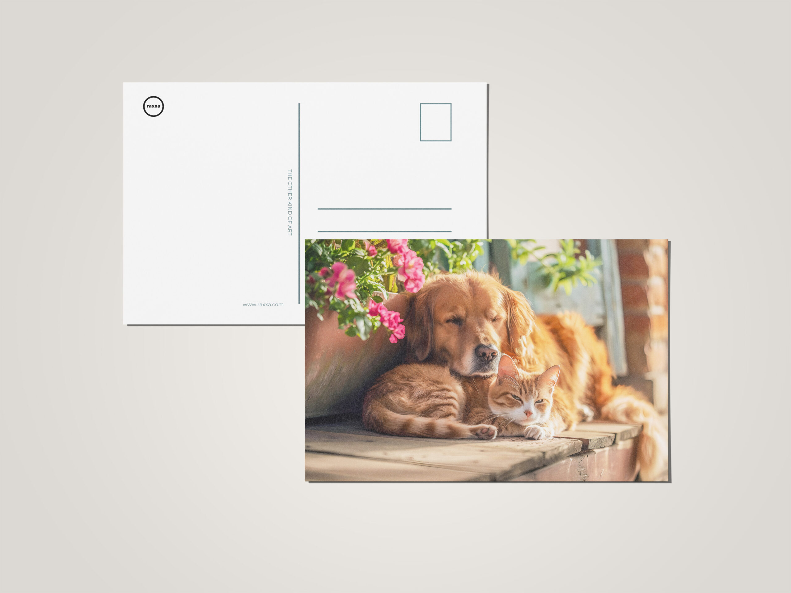 raxxa Postkarte: Labrador and Red Cat Snooze Together by Flowerpots