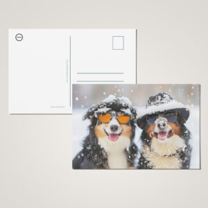 raxxa Postkarte: Snow Buddies- Two Bernese Mountain Dogs Enjoying Winter Wonderland