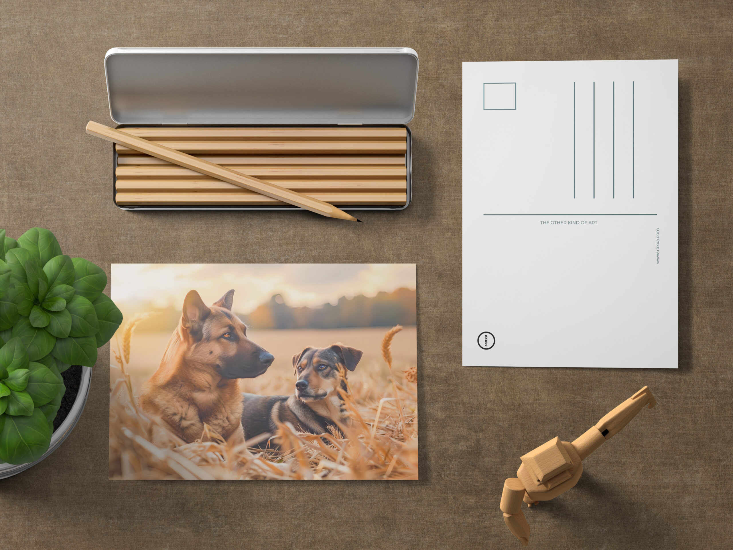 raxxa Postkarte: German Shepherd and Canine Pal Sit in Wheat Field