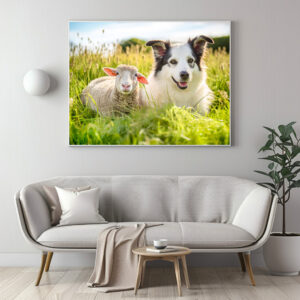Poster: Shepherd Dog and Sheep Resting Together in Meadow