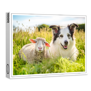 raxxa Premium-Puzzle: Shepherd Dog and Sheep Resting Together in Meadow