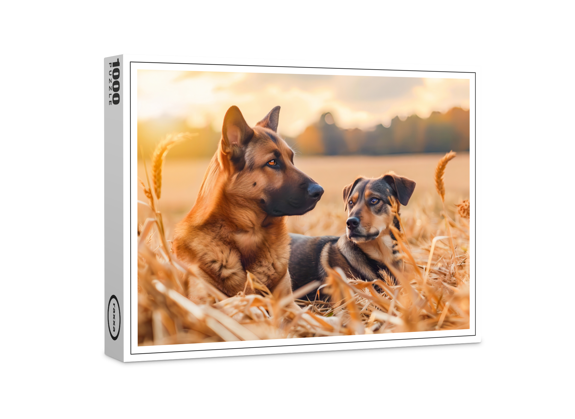 raxxa Premium-Puzzle: German Shepherd and Canine Pal Sit in Wheat Field