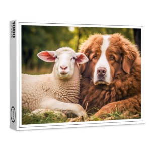 raxxa Premium-Puzzle: Sheep and Shepherd Dog Sit Closely Together on Pasture