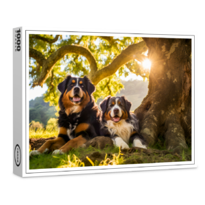 raxxa Premium-Puzzle: Two Bernese Mountain Dogs Resting Together