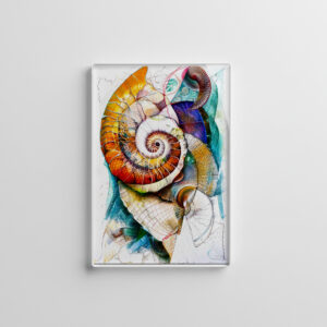 raxxa Glas-Magnet: Abstract Watercolor Illustration of a Nautilus