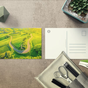 raxxa Postkarte: Winding Roads Through Vineyards and Cypress Trees