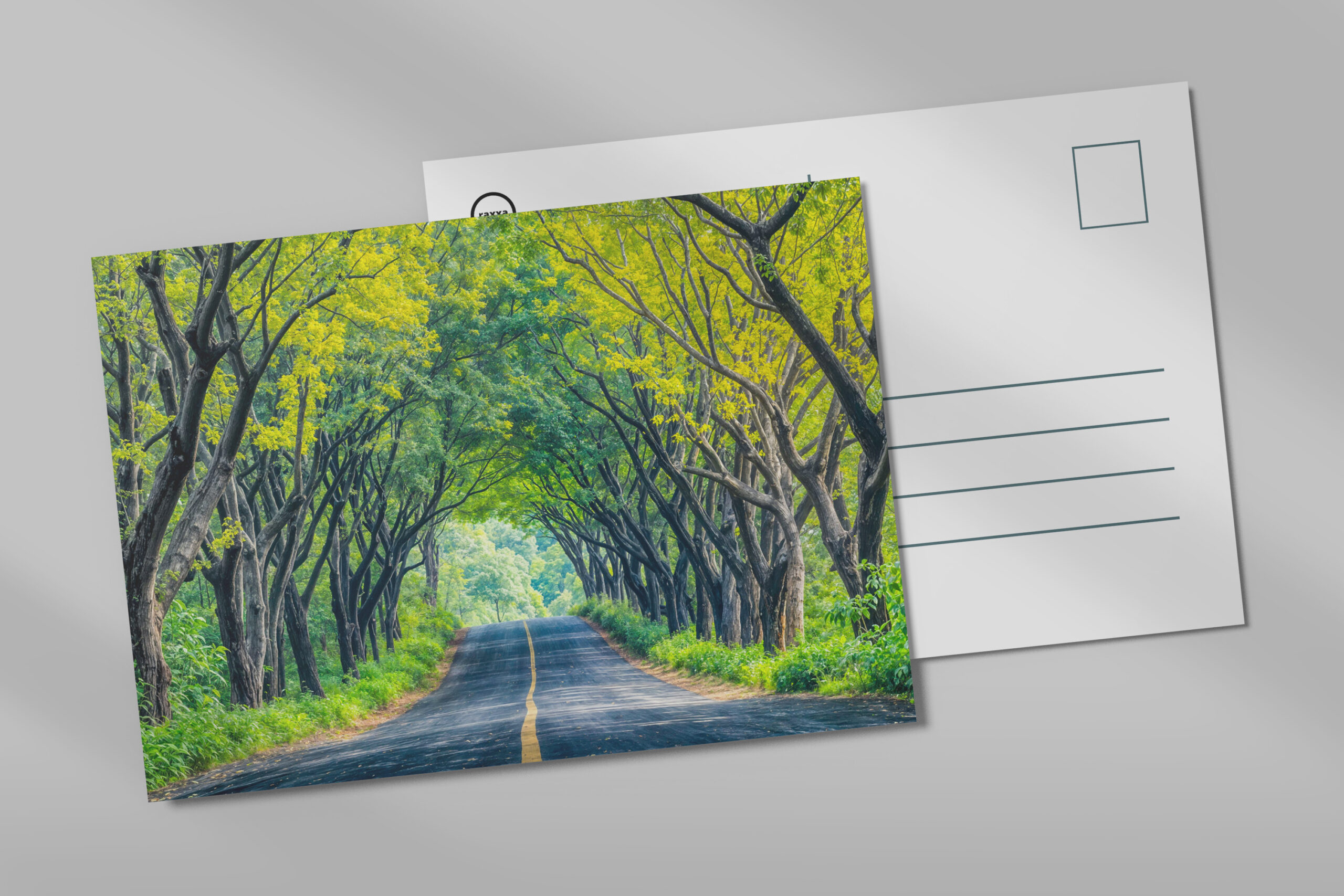 raxxa Postkarte: Road Through Dense Tree Alley