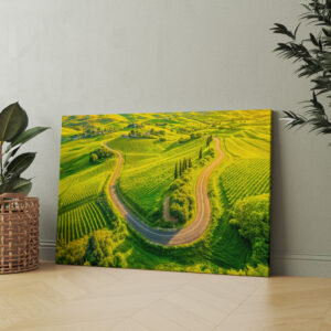 raxxa Canva: Winding Roads Through Vineyards and Cypress Trees
