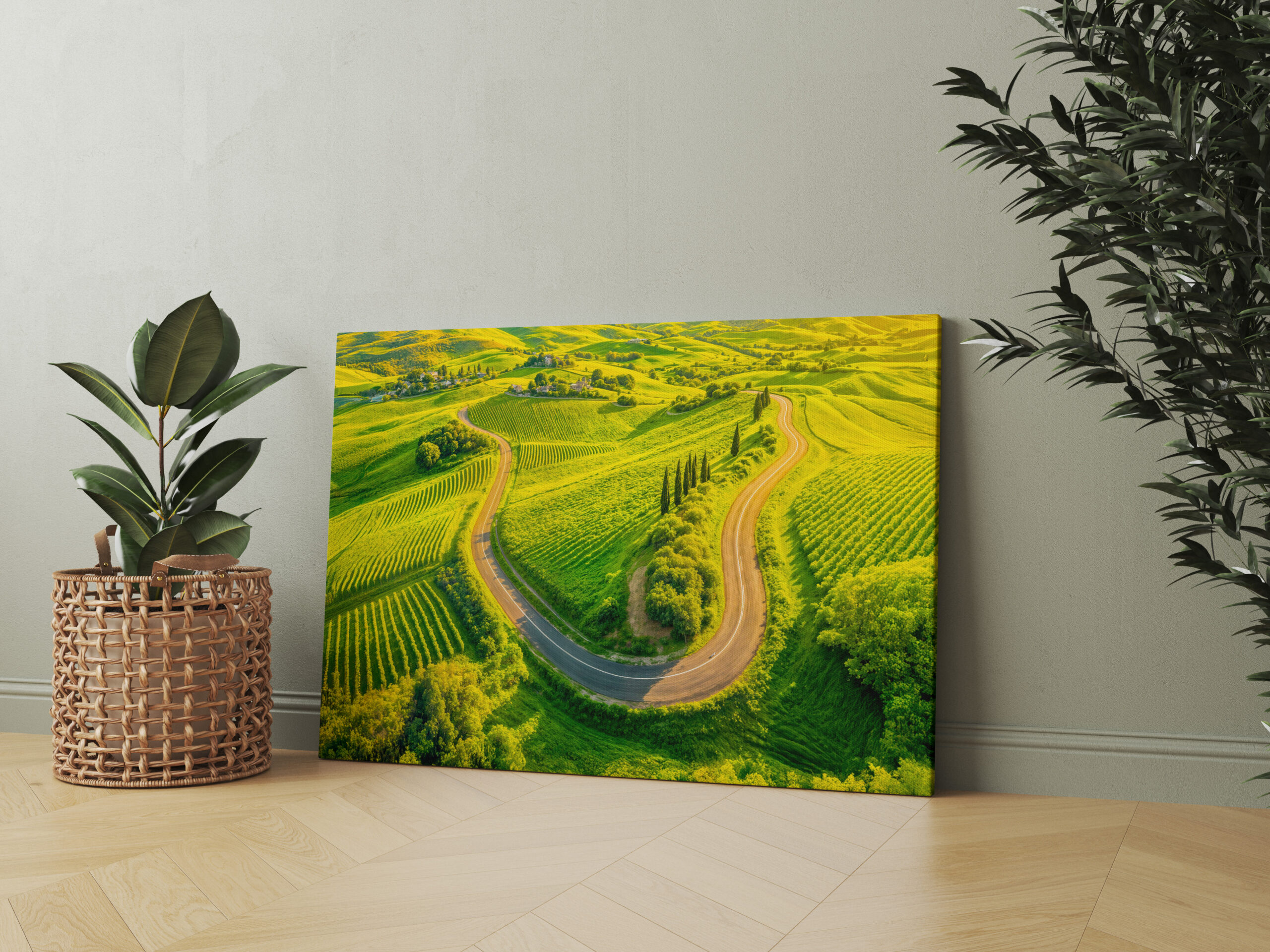 raxxa Canva: Winding Roads Through Vineyards and Cypress Trees
