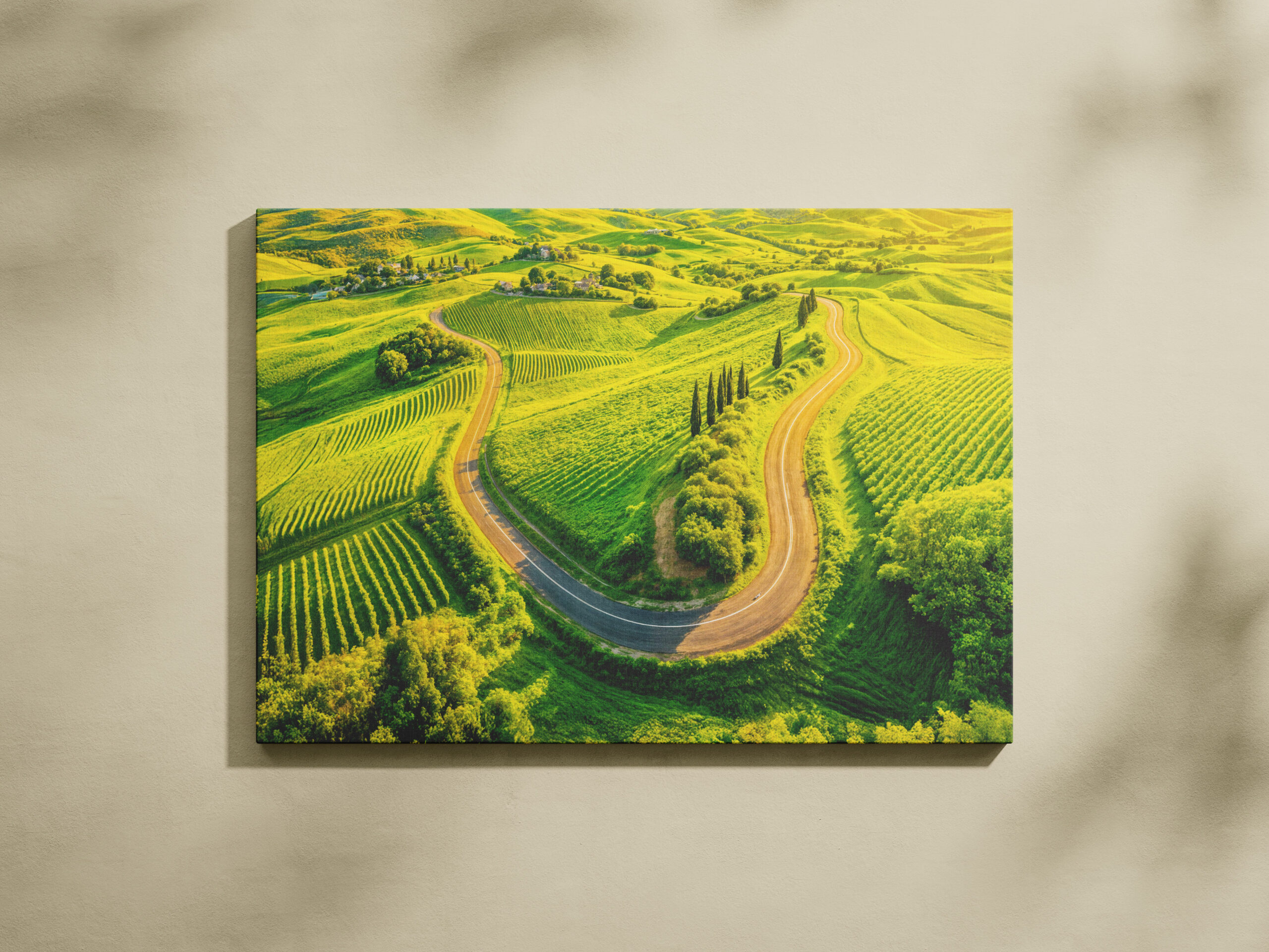 raxxa Canva: Winding Roads Through Vineyards and Cypress Trees – Bild 2