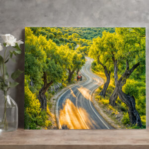 raxxa Canva: Olive Grove with Old Tractor at Evening Road