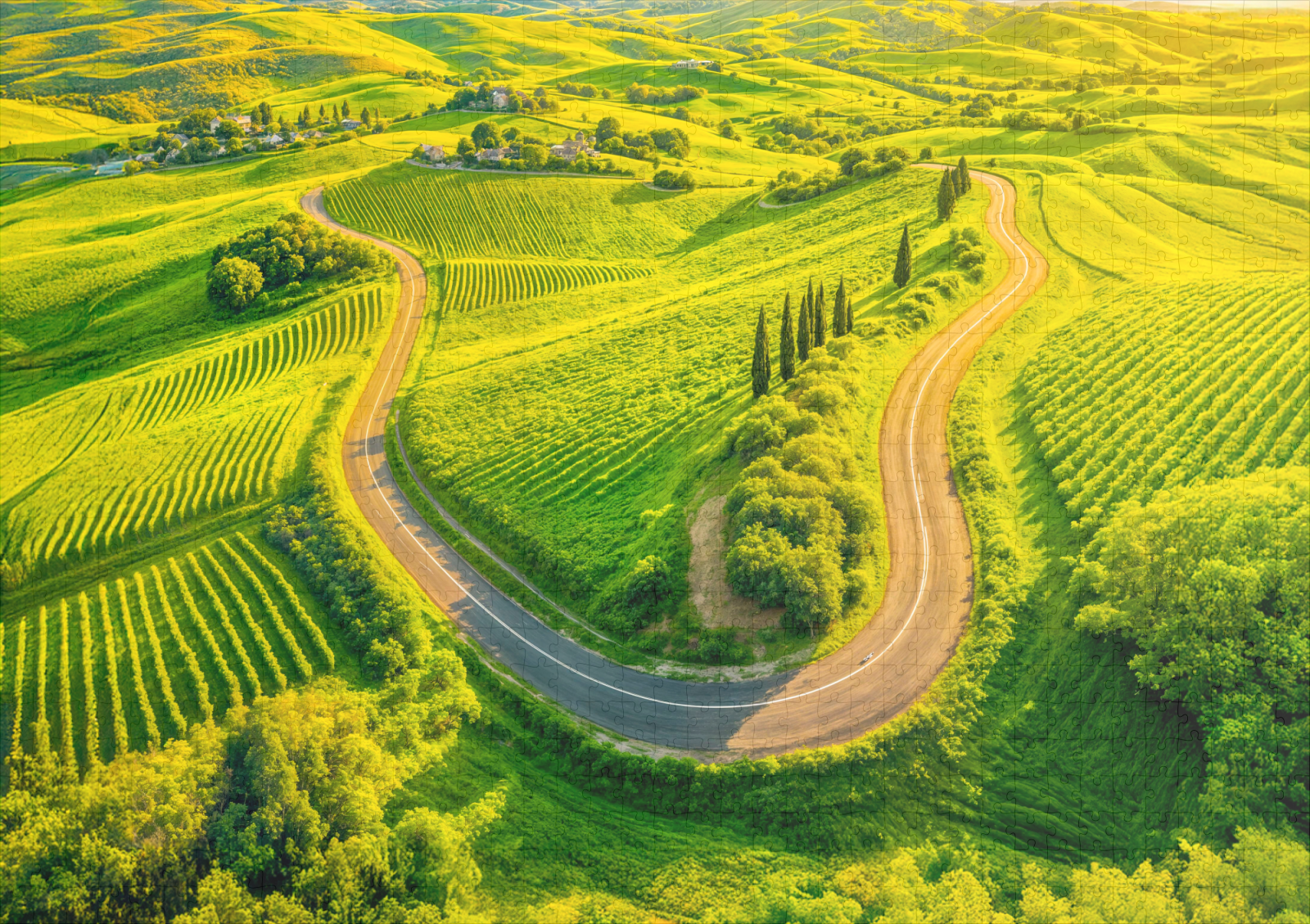 raxxa Premium-Puzzle: Winding Roads Through Vineyards and Cypress Trees - immagine 2