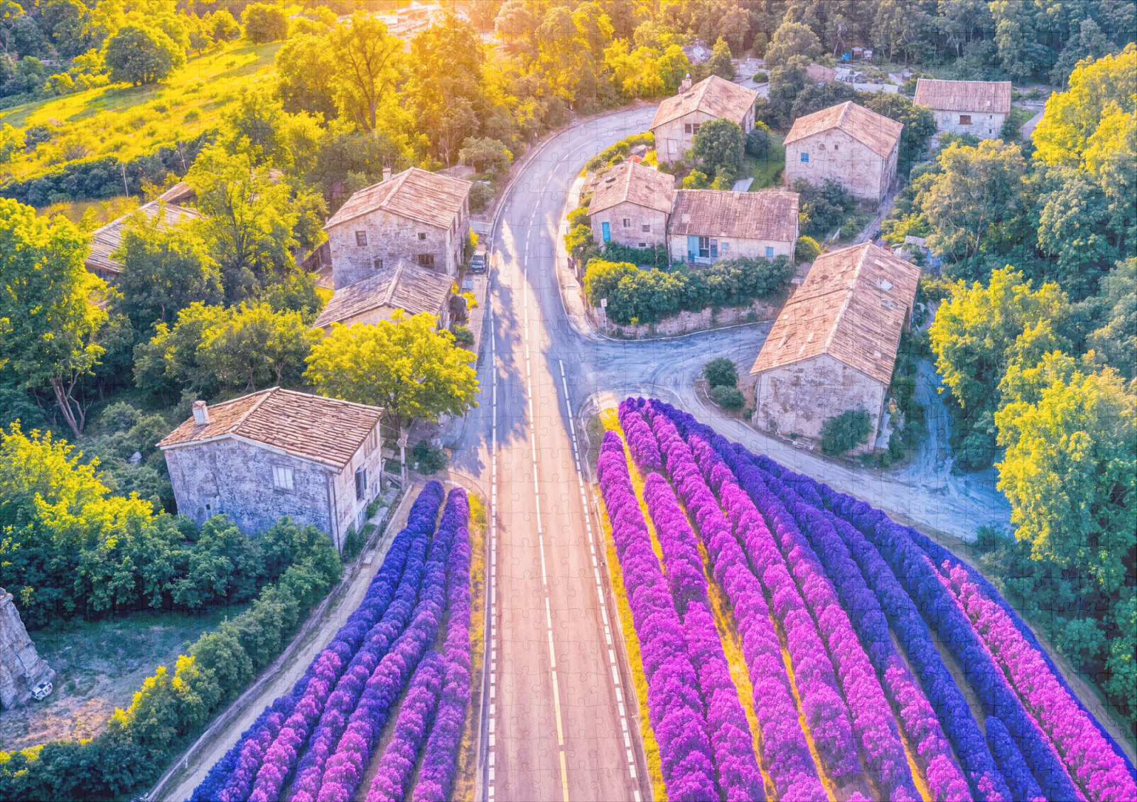 raxxa Premium-Puzzle: Village with Lavender Fields and Winding Roads - Image 2