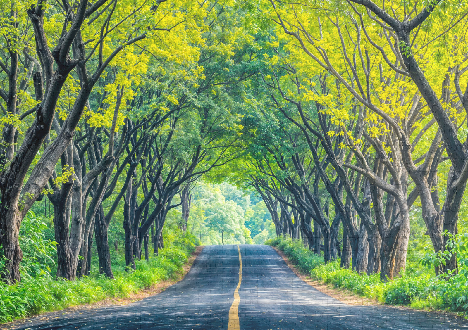raxxa Premium-Puzzle: Road Through Dense Tree Alley - Image 2