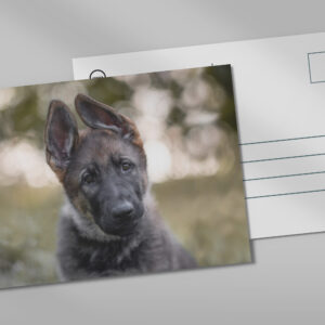 raxxa Postkarte: Lotte