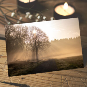 raxxa Postkarte: Sonnenaufgang