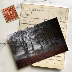 raxxa Postkarte: Sumpf