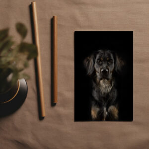 raxxa Postkarte: Merlin vor schwarzem Hintergrund