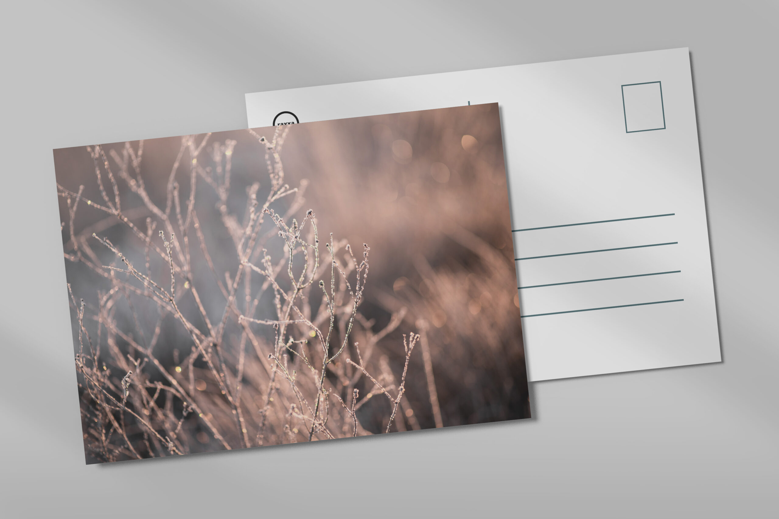 raxxa Postkarte: Frost