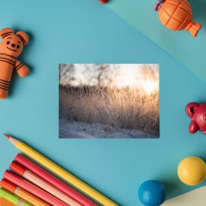 raxxa Postkarte: Frozen Sunrise