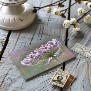 raxxa Postkarte: Here comes the sun