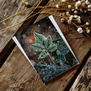 raxxa Postkarte: Blatt im Schnee