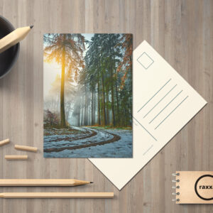 raxxa Postkarte: Winterweg
