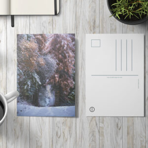 raxxa Postkarte: Neuschnee