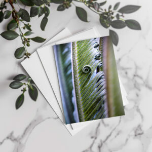 raxxa Postkarte: Palmfarn