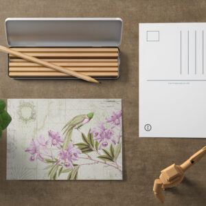 raxxa Postkarte: Birds Vintage Journey
