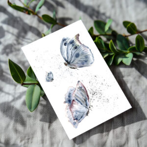 raxxa Postkarte: Butterflies