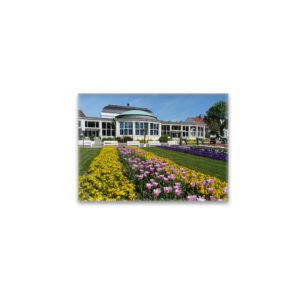 raxxa Glas-Magnet: Blumen und Kurhaus in Bad Salzuflen