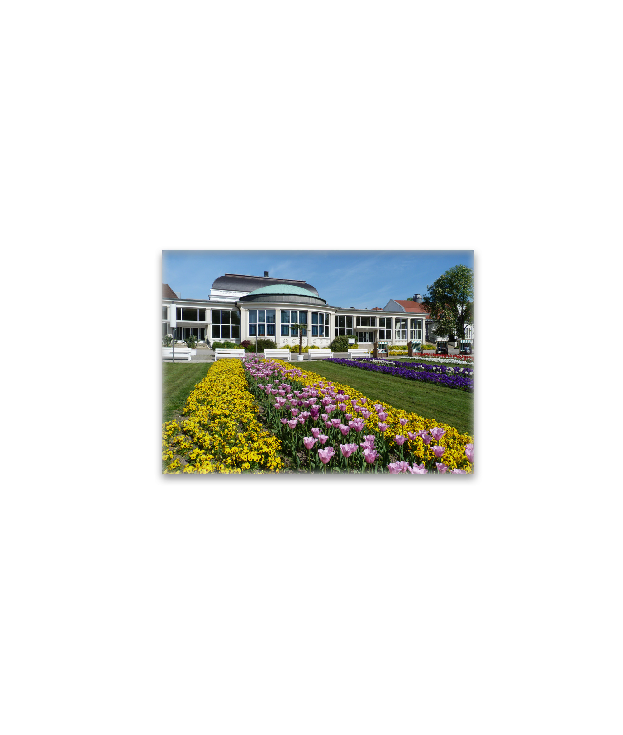 raxxa Glas-Magnet: Blumen und Kurhaus in Bad Salzuflen