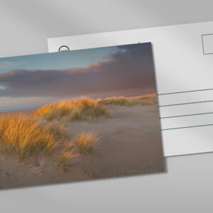 raxxa Postkarte: Dünengras I, Normandie