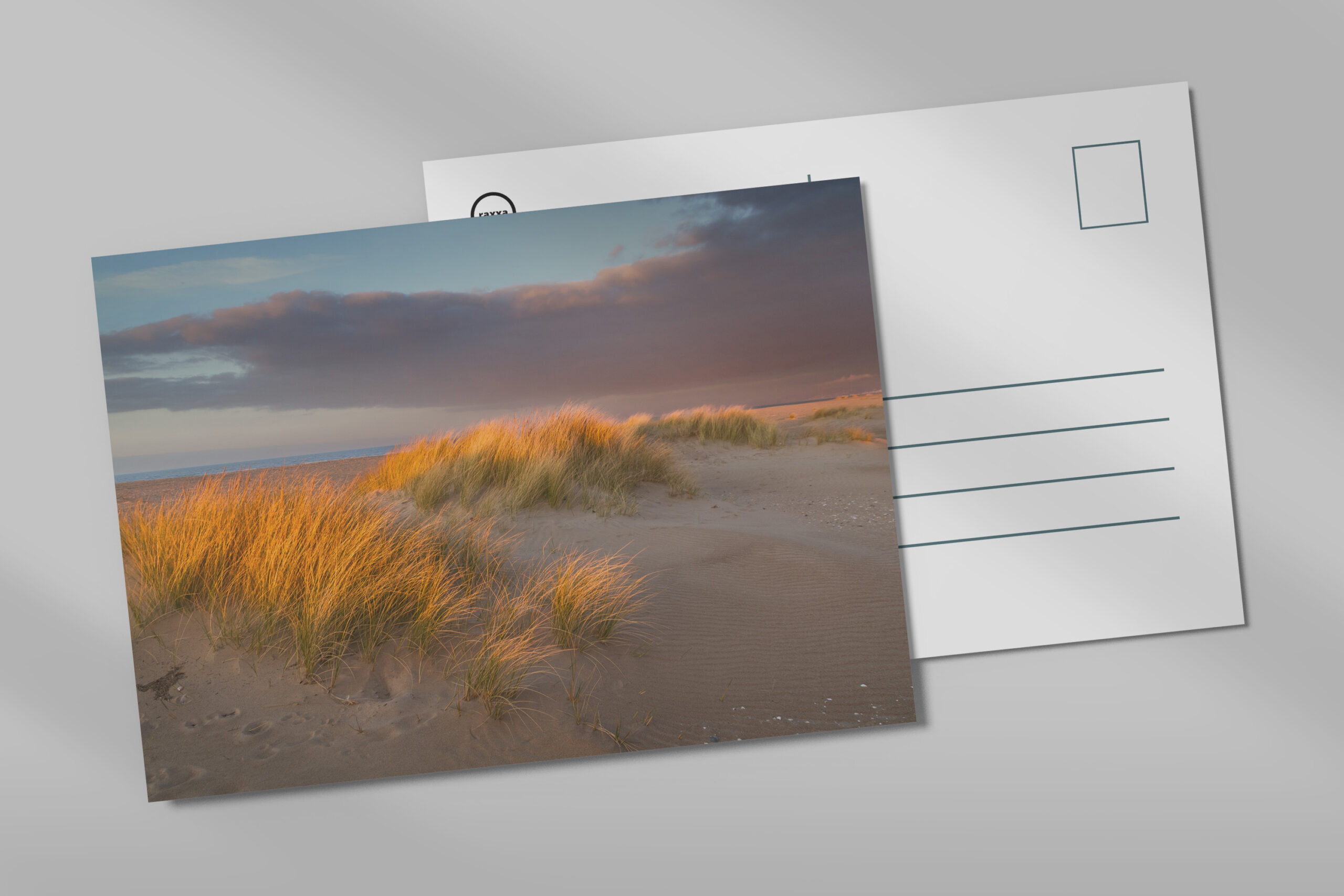 raxxa Postkarte: Dünengras I, Normandie