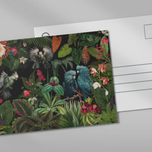 raxxa Postkarte: Mystischer Zauberhafter tropischer Nacht Dschungel